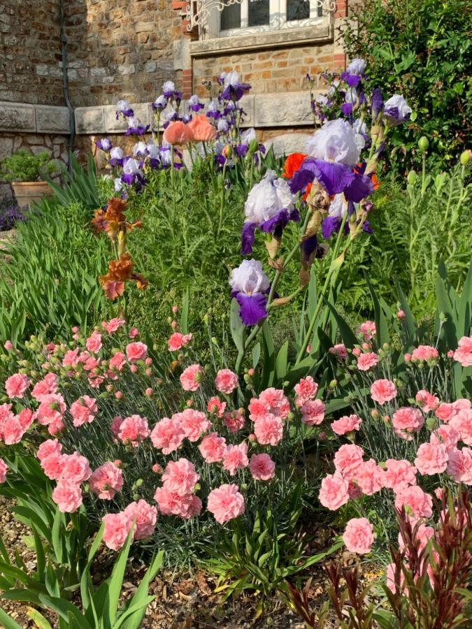 Le Manoir Des Rochers Bouere Bagian luar foto